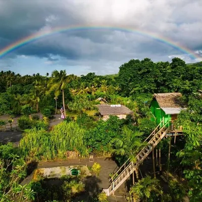 Tanna Volcano Treehouses gallery image 4