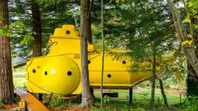 Yellow Submarine gallery image 1