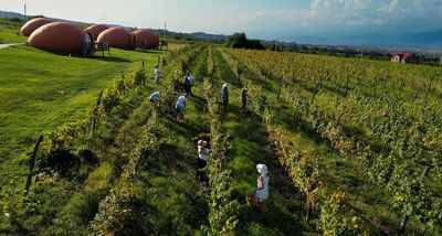 Hotel Qvevrebi gallery image 4