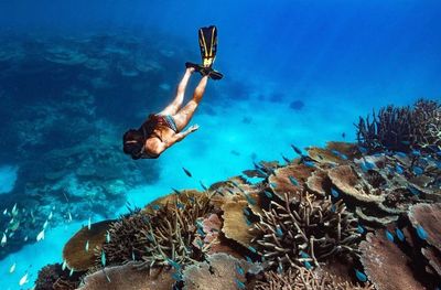 Orpheus Island Lodge gallery image 4