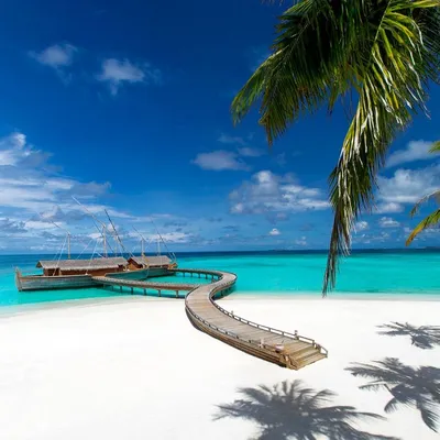 Milaidhoo Maldives gallery image 4