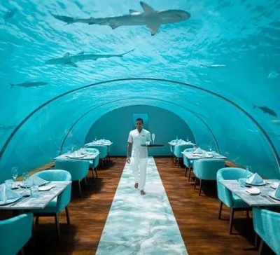 Conrad Maldives Rangali Island gallery image 1