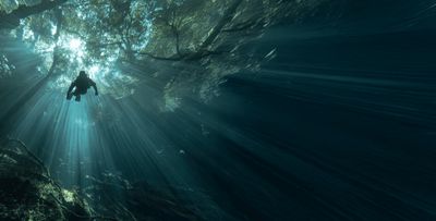 NEST Tulum gallery image 4