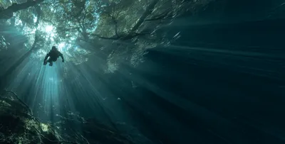 NEST Tulum gallery image 4