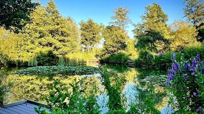 Old Oaks Touring & Glamping gallery image 2