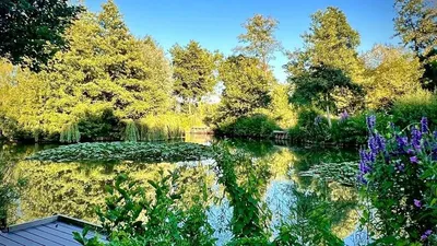 Old Oaks Touring & Glamping gallery image 2