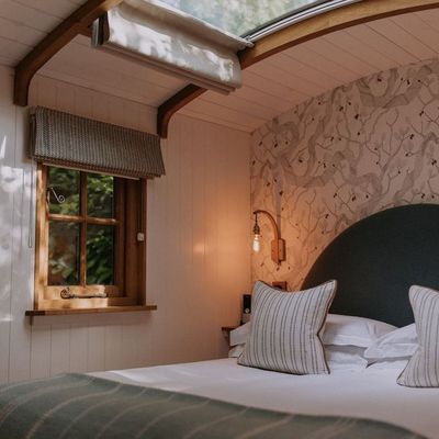 The Fish Hotel gallery image 1