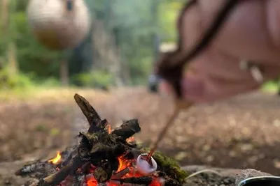 Lost Meadow Treepod gallery image 3