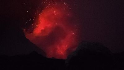 Tanna Volcano Treehouses gallery image 2
