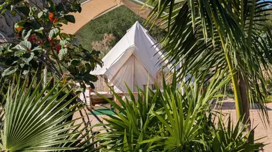 Baja Sea of Cortez Glamping