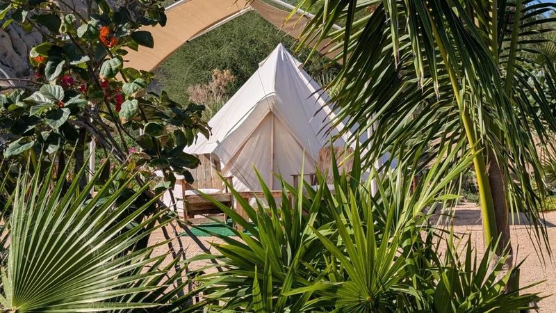 Baja Sea of Cortez Glamping