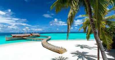 Milaidhoo Maldives gallery image 2