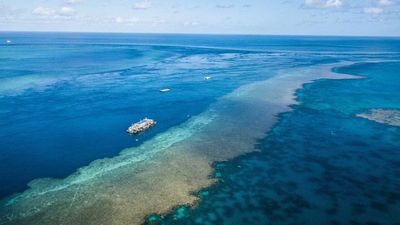 Reefsuites Great Barrier Reef gallery image 4