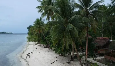 Marine Homestay, Raja Ampat gallery image 4