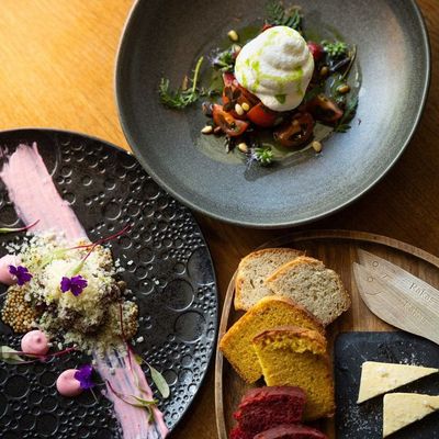 Arctic TreeHouse Hotel Area gallery image 3