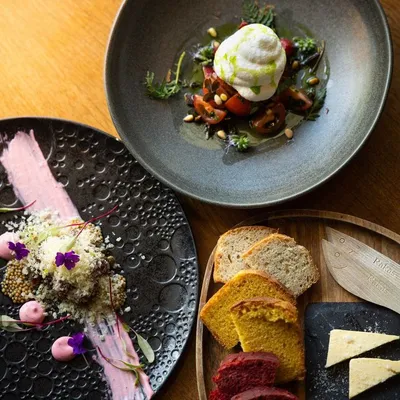 Arctic TreeHouse Hotel Area gallery image 3