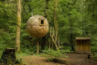 Lost Meadow Treepod gallery image 1