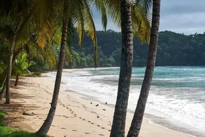 Bom Bom - Principe Collection gallery image 3