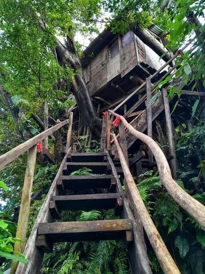 Tanna Volcano Treehouses gallery image 3