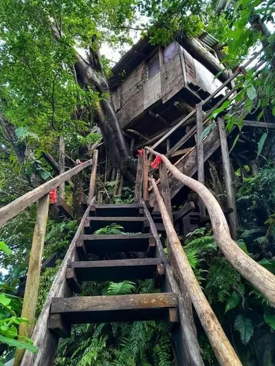 Tanna Volcano Treehouses gallery image 3