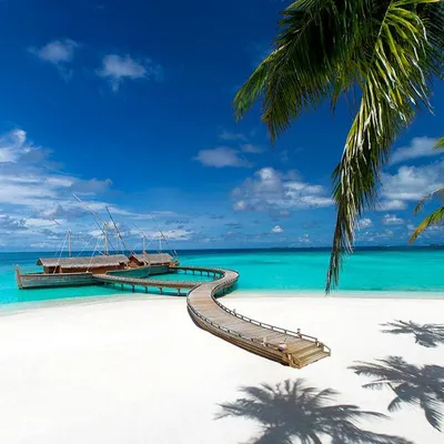 Milaidhoo Maldives gallery image 1