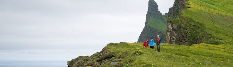 Hornstrandir Nature Reserve