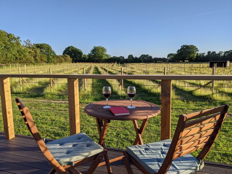 Wolds Wine Estate Pods