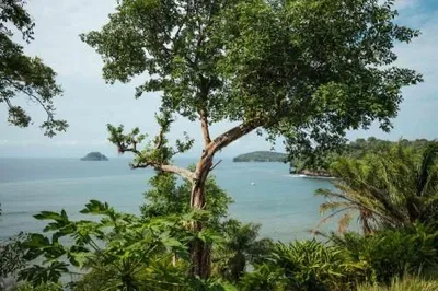 Casa do Mar gallery image 3