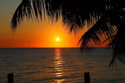 Quirimbas Island Hideaways gallery image 2