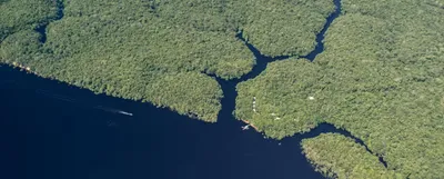 Anavilhanas Jungle Lodge gallery image 2