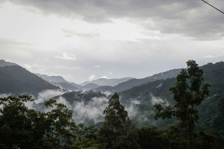 Bwindi Impenetrable Forest