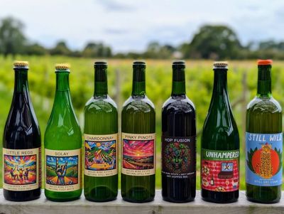 Wolds Wine Estate Pods gallery image 3