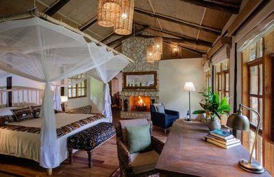 Bwindi Impenetrable Forest gallery image 4