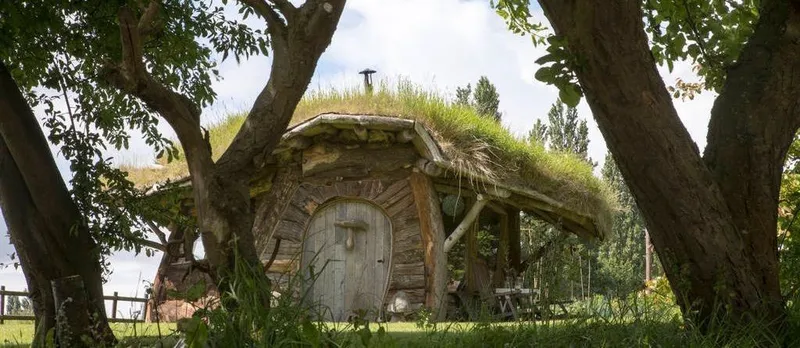 Magic Mushroom Cabin