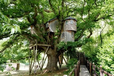 Treetops Treehouse