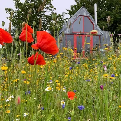 Boutique Farm Bothies gallery image 4