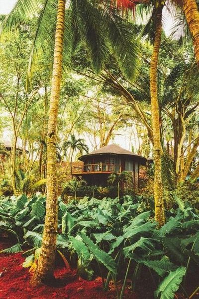 Bom Bom - Principe Collection gallery image 4