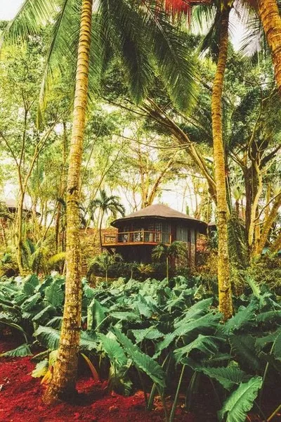 Bom Bom - Principe Collection gallery image 4